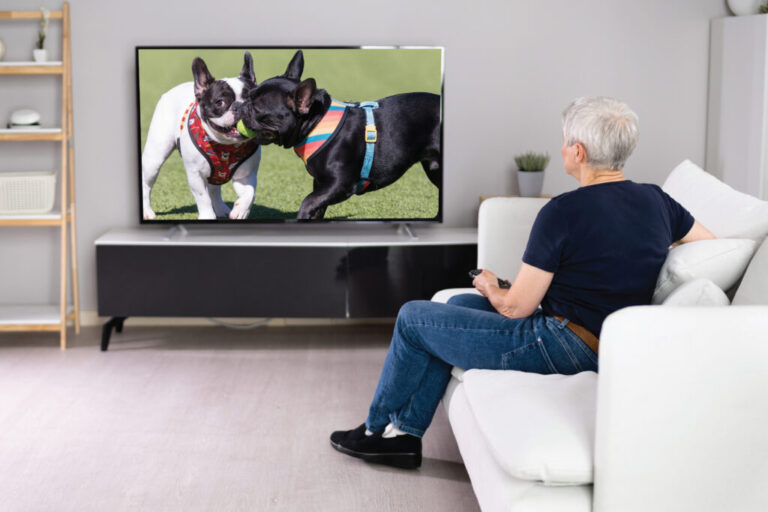 exploring-zinnia-tv:-an-innovative-media-tool-for-dementia-support-–-institute-on-aging-–-from-ioaging.org