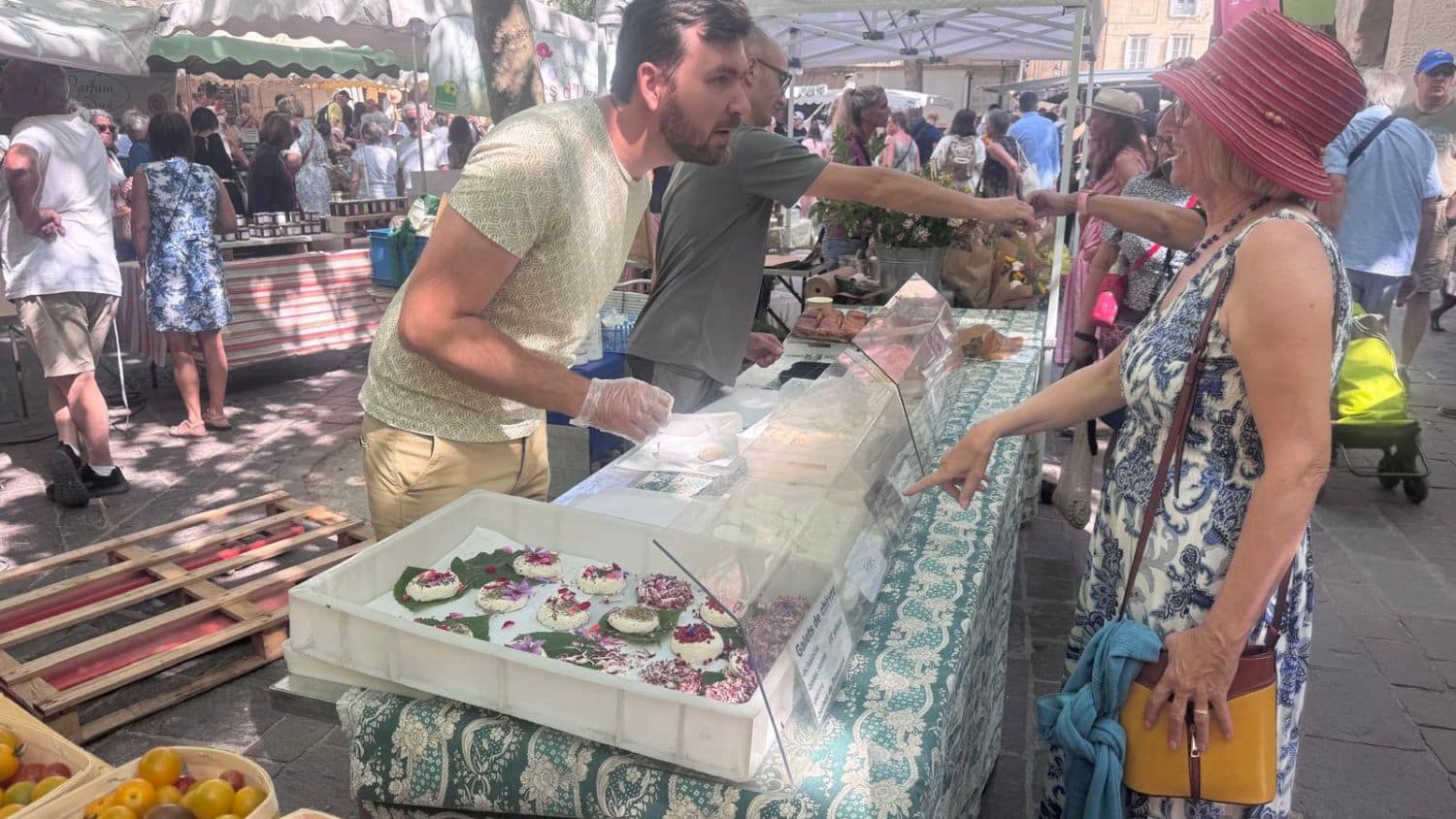 what-tj-maxx-can-teach-us-about-deep-learning-in-midlife-|-sixty-and-me-–-from-sixtyandme.com