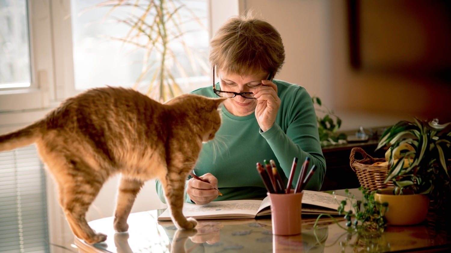 5-lessons-my-cat-taught-me-about-taking-better-care-of-myself-|-sixty-and-me-–-from-sixtyandme.com
