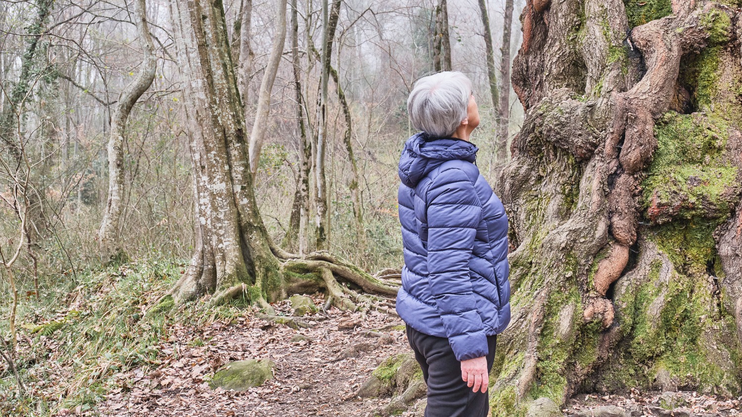 develop-your-tree-reading-skills-to-find-your-way-in-nature-|-sixty-and-me